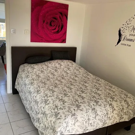 Acacia 308 *